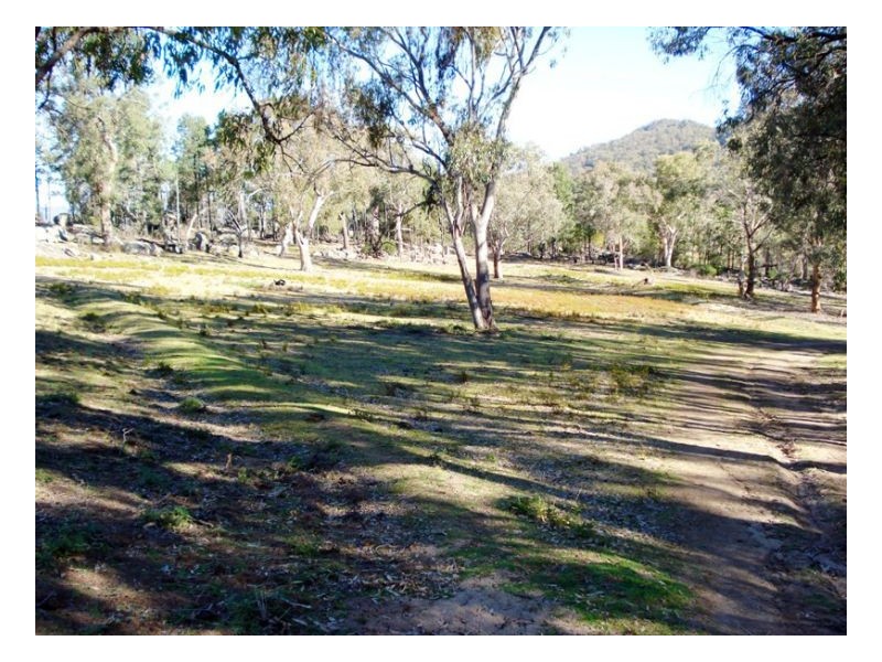 302 Moonbi Gap Road, Moonbi NSW 2353