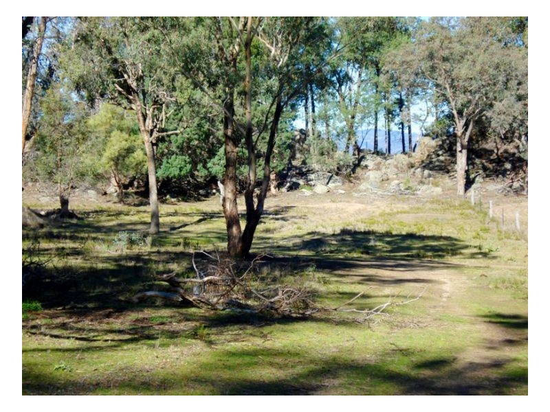 302 Moonbi Gap Road, Moonbi NSW 2353