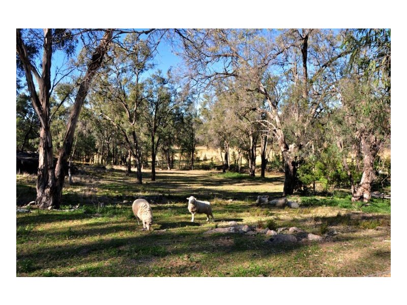 302 Moonbi Gap Road, Moonbi NSW 2353