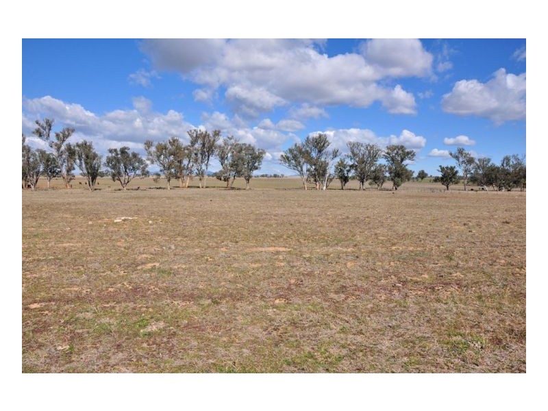 Lot 99 Heiligmans Lane, Tamworth NSW 2340