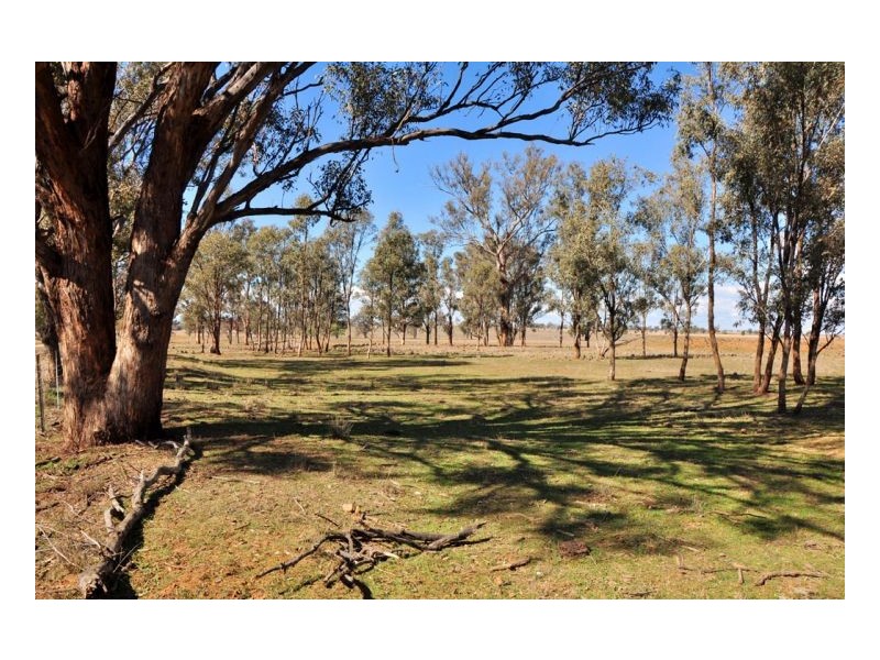 Lot 99 Heiligmans Lane, Tamworth NSW 2340