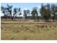 Lot 100 Heilimans Lane, Tamworth NSW 2340