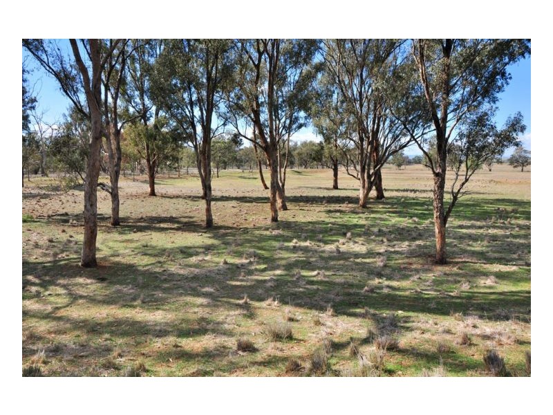 Lot 100 Heilimans Lane, Tamworth NSW 2340