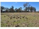 Lot 100 Heilimans Lane, Tamworth NSW 2340