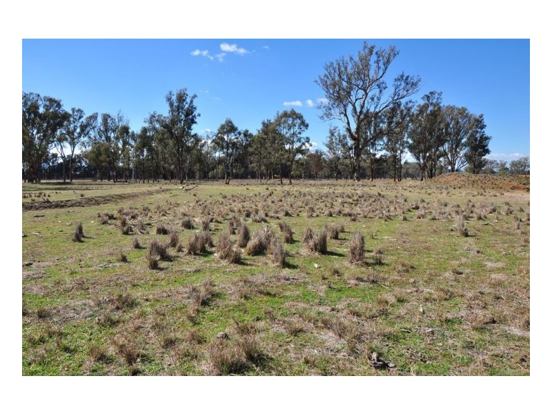 Lot 100 Heilimans Lane, Tamworth NSW 2340