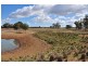 Lot 100 Heilimans Lane, Tamworth NSW 2340