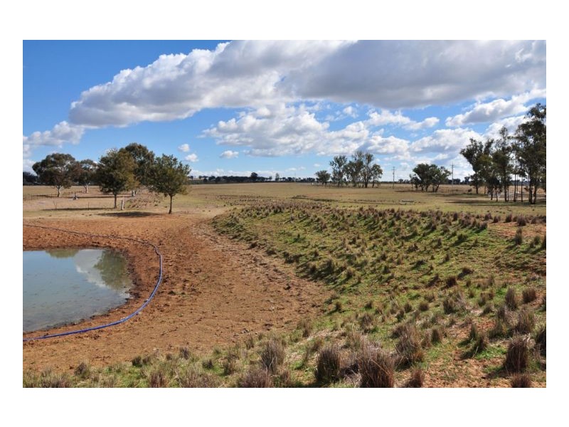Lot 100 Heilimans Lane, Tamworth NSW 2340
