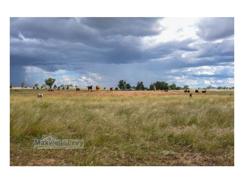 Lot 101 Heiligmans Lane, Tamworth NSW 2340