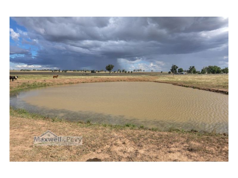 Lot 101 Heiligmans Lane, Tamworth NSW 2340
