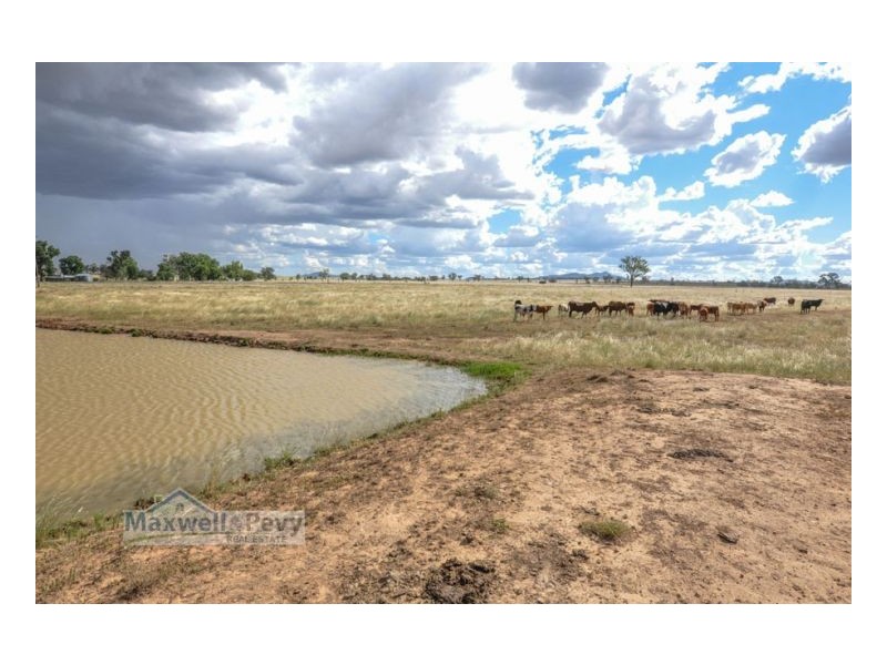 Lot 101 Heiligmans Lane, Tamworth NSW 2340