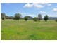 810 Moonbi Gap Road, Moore Creek NSW 2340