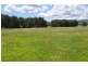 810 Moonbi Gap Road, Moore Creek NSW 2340