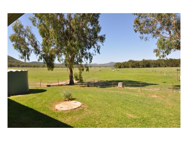 810 Moonbi Gap Road, Moore Creek NSW 2340