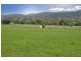 289 Tintinhull Road, Tamworth NSW 2340