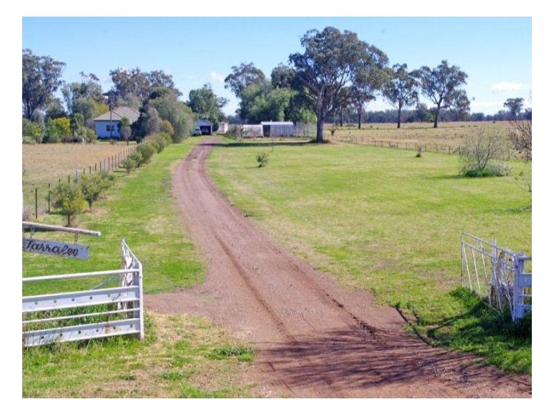 808 Oakey Creek Road, Piallaway NSW 2342