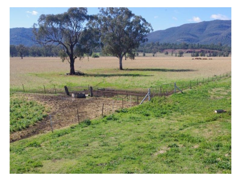 808 Oakey Creek Road, Piallaway NSW 2342