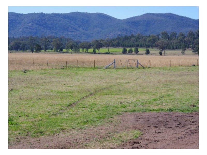 808 Oakey Creek Road, Piallaway NSW 2342