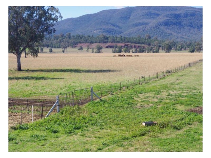 808 Oakey Creek Road, Piallaway NSW 2342