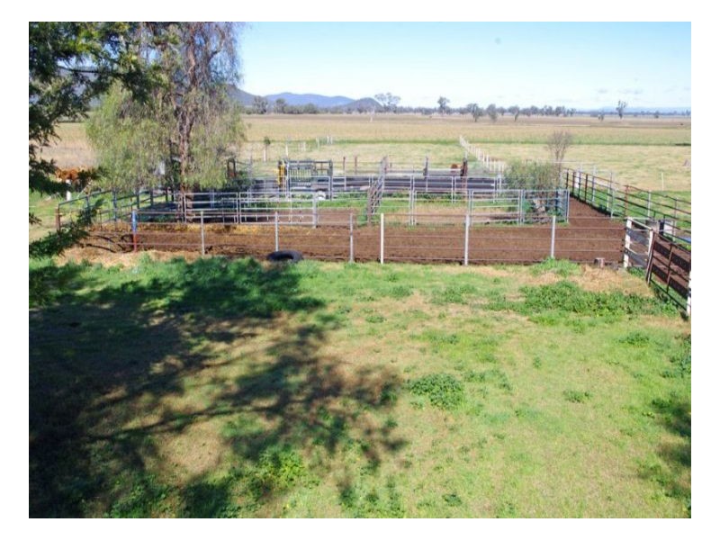 808 Oakey Creek Road, Piallaway NSW 2342