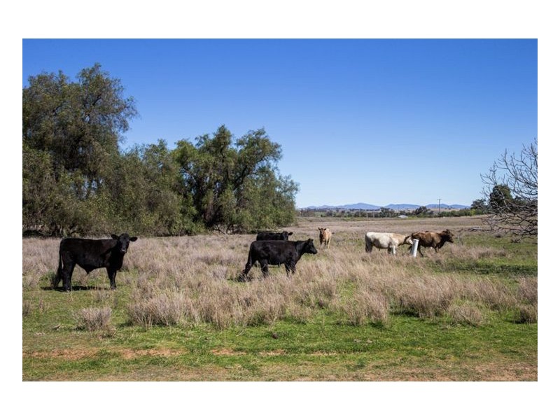 47A Gallagher Road, Nemingha NSW 2340