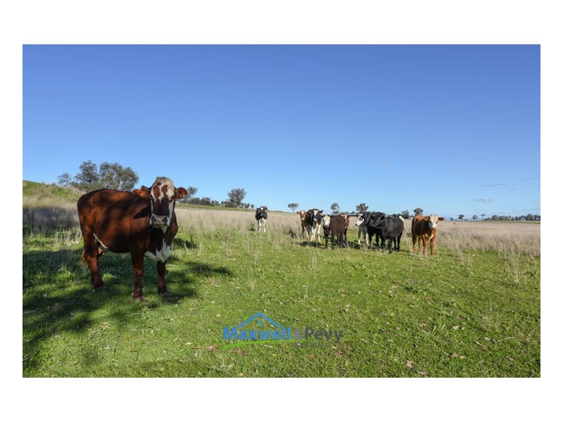 680 Old Winton Road, Tamworth NSW 2340