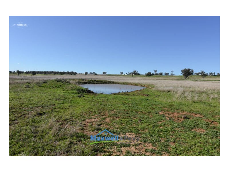 680 Old Winton Road, Tamworth NSW 2340