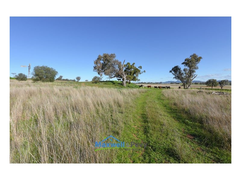 680 Old Winton Road, Tamworth NSW 2340