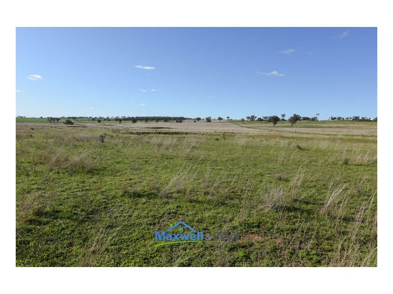 680 Old Winton Road, Tamworth NSW 2340