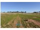 680 Old Winton Road, Tamworth NSW 2340