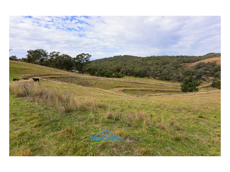 321A Daruka Road, Tamworth NSW 2340