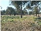 1264 New England Highway, Kootingal NSW 2352