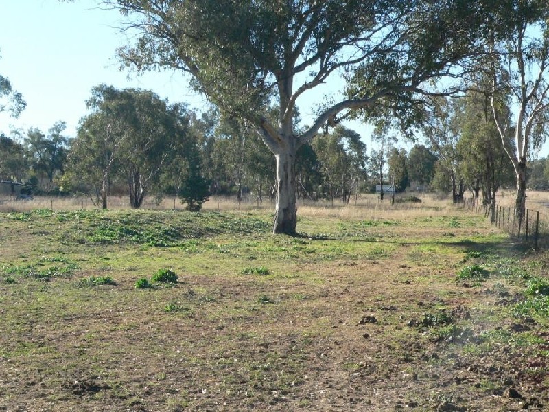 1264 New England Highway, Kootingal NSW 2352