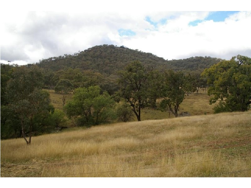 Spring Creek Road, Tamworth NSW 2340