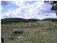 Retreat NSW 2355