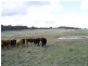 Retreat NSW 2355