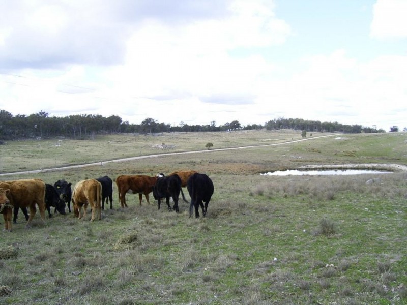 Retreat NSW 2355