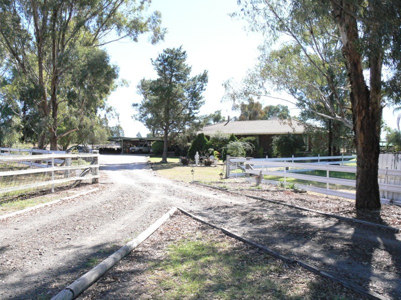 Daruka NSW 2340