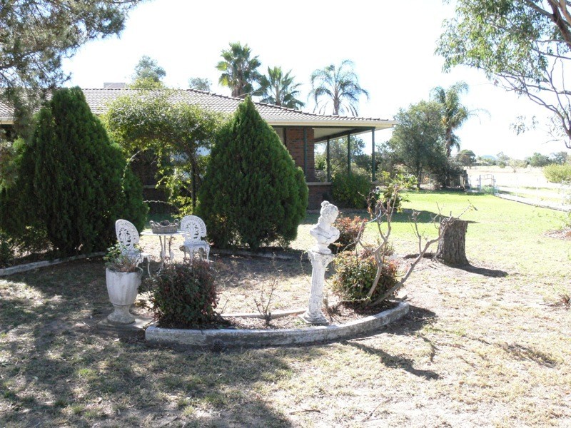Daruka NSW 2340