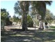 Daruka NSW 2340