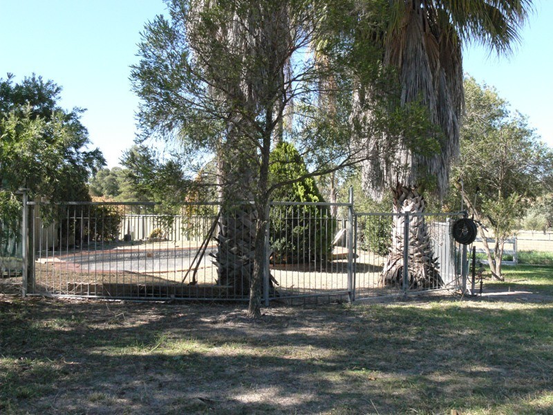 Daruka NSW 2340