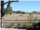 Daruka NSW 2340
