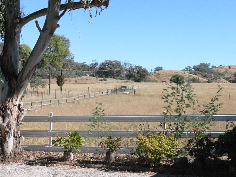 Daruka NSW 2340
