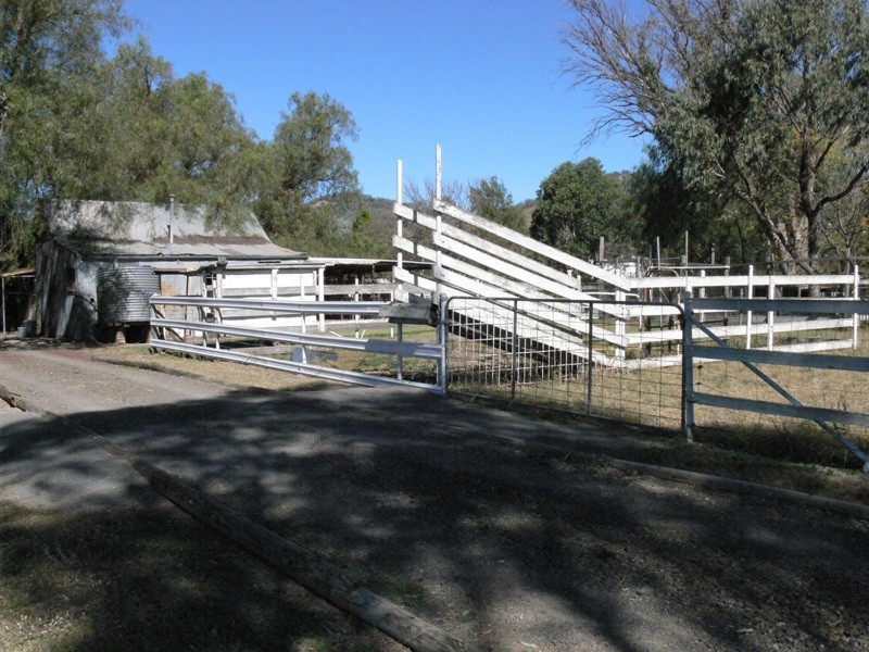 Daruka NSW 2340