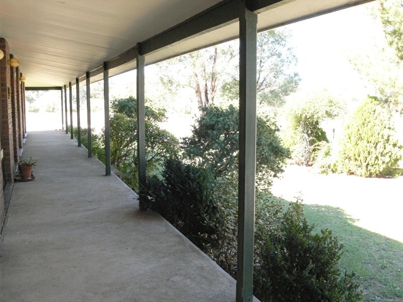 Daruka NSW 2340