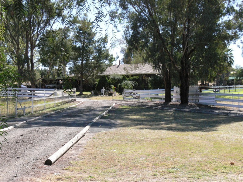 Daruka NSW 2340