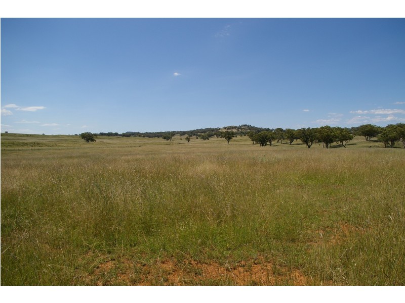 Upper Manilla NSW 2346