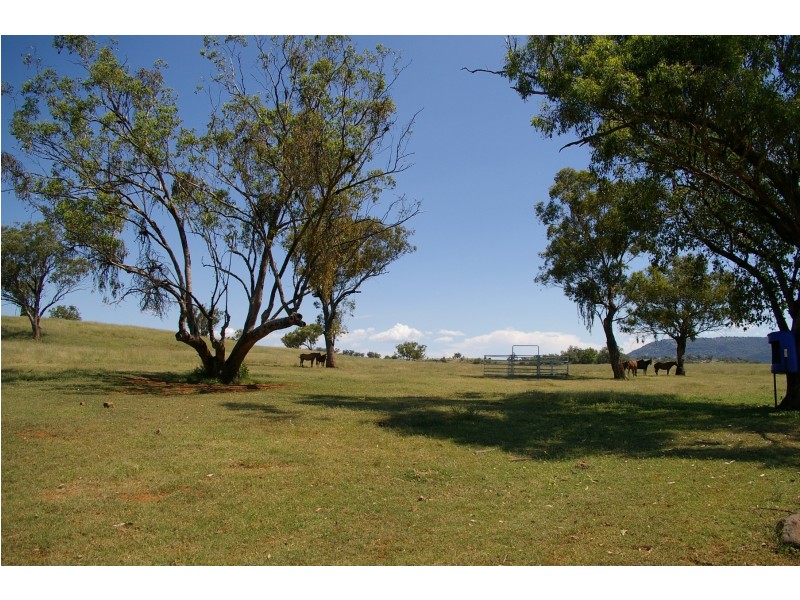 Upper Manilla NSW 2346