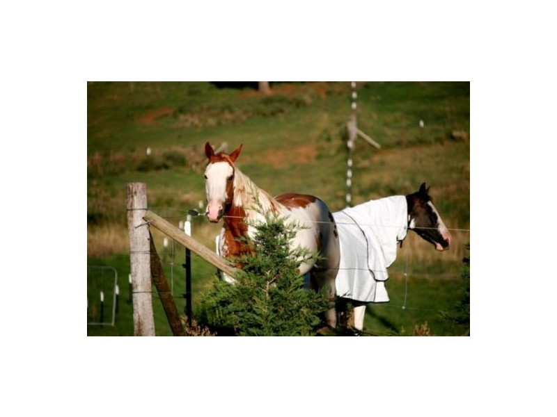 80 Wyndham Close, Daruka NSW 2340