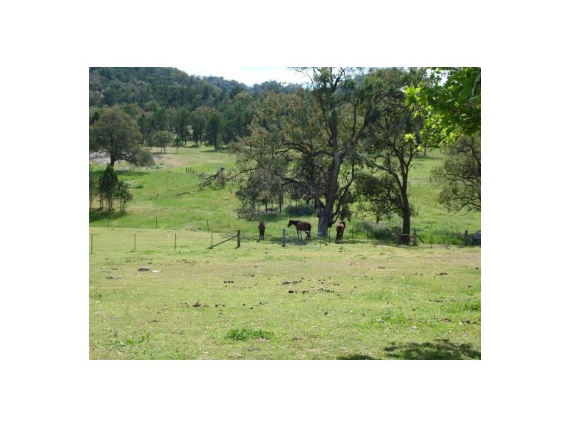190 New England Gully Road, Moonbi NSW 2353