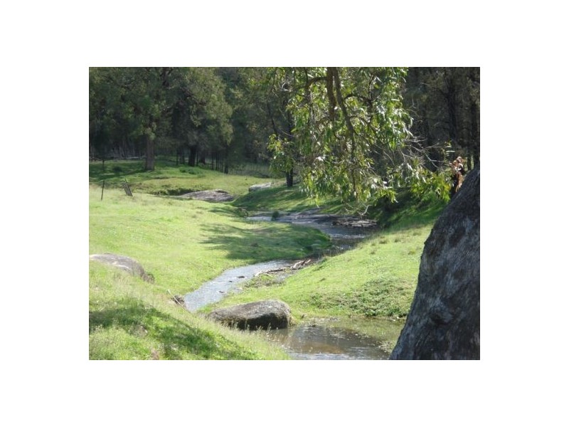 190 New England Gully Road, Moonbi NSW 2353